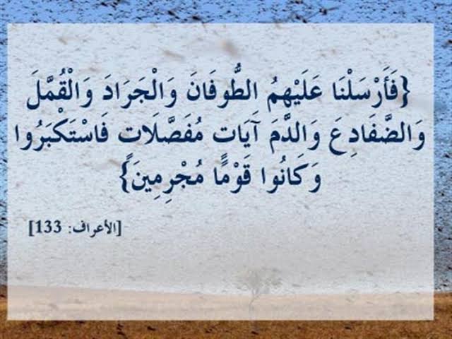 ما معنى “القُمل” في قوله تعالى: “فَأَرْسَلْنَا عَلَيْهِمُ الطُّوفَانَ وَالْجَرَادَ وَالْقُمَّلَ” ؟